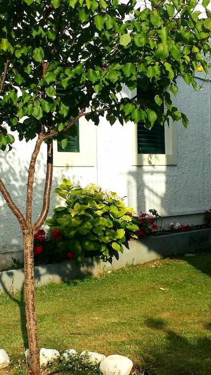 Corifo Village Acharavi  Exteriér fotografie